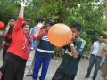 Tn DSC 7927